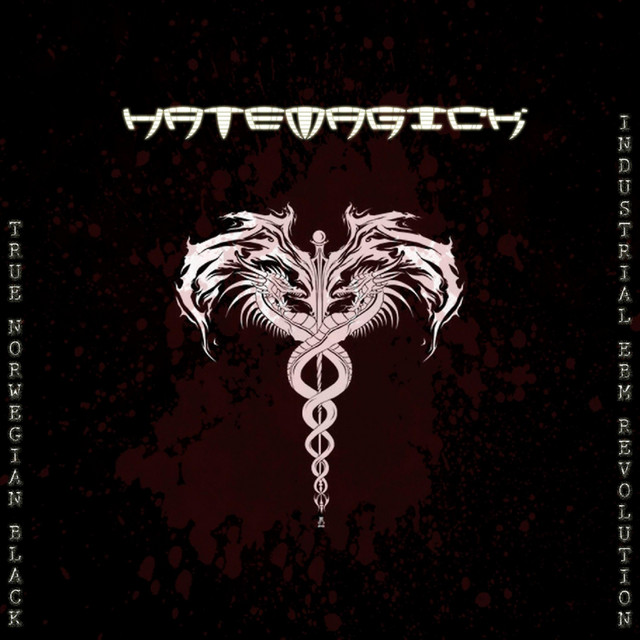 True Norwegian Black Industrial EBM Revolution cover