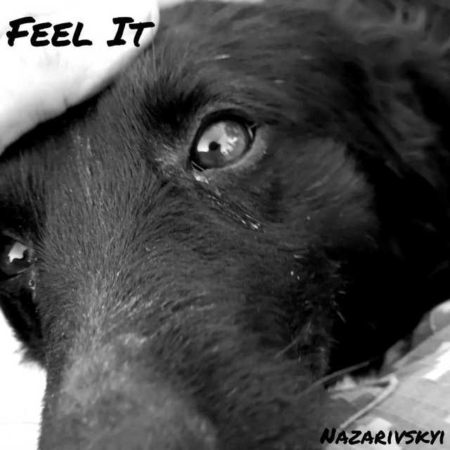 Обкладинка Nazarivskyi — Feel It