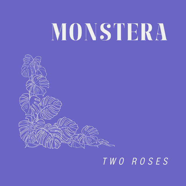 Monstera