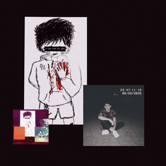 In Love With the Pain cover art
