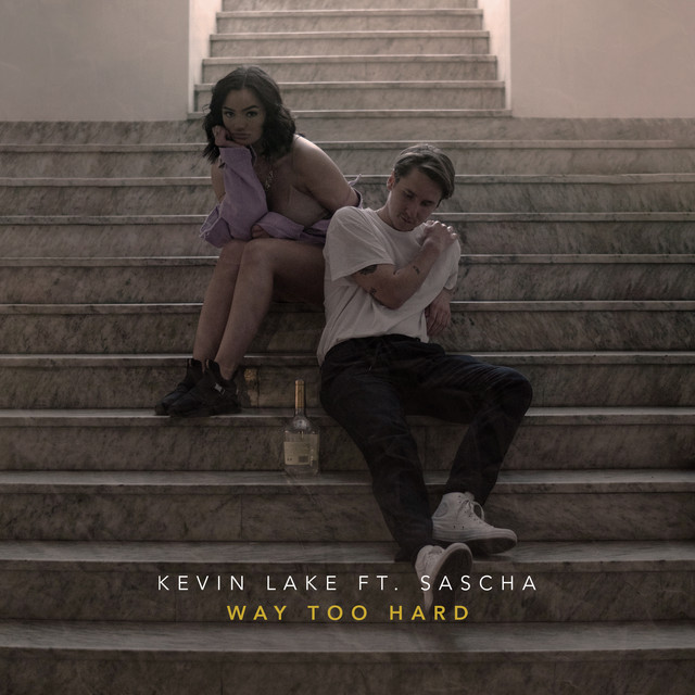 Way Too Hard cover