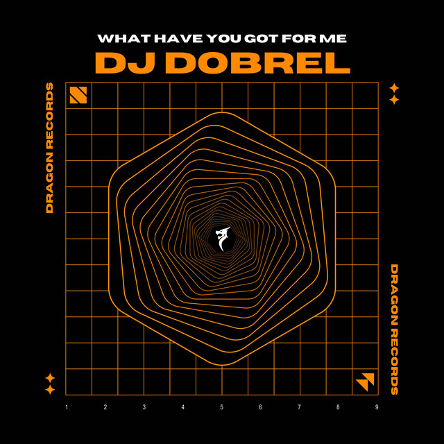 What Have You Got For album art