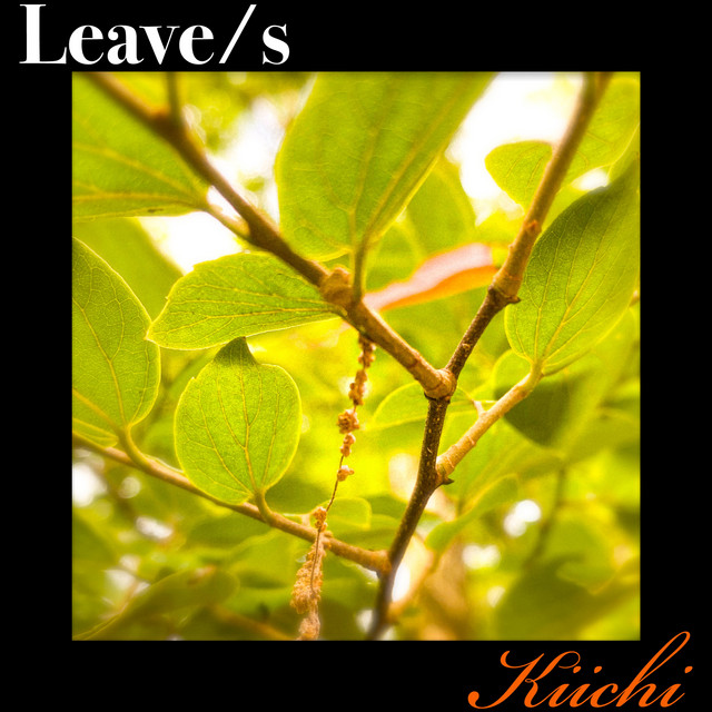 Leave/s cover art