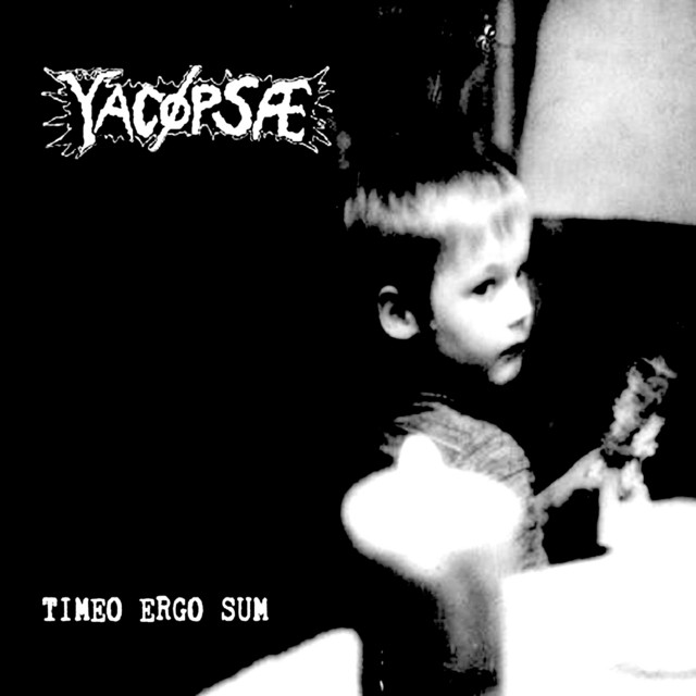 Timeo Ergo Sum cover art