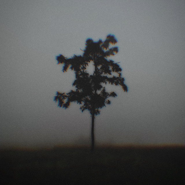 about nothing cover art