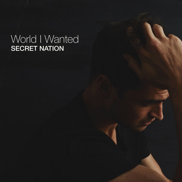 World I Wanted cover art