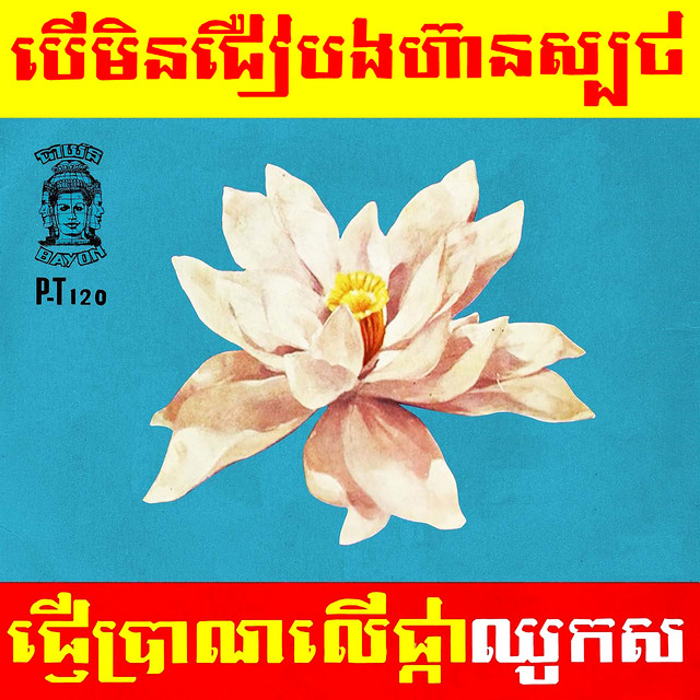 បើមិនជឿបងហ៊ានស្បថ - ផ្ញើប្រាណលើផ្កាឈូកស cover art