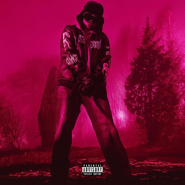 MIDNITË BÆZII cover art