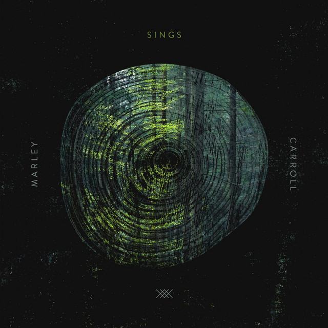 Sings cover art