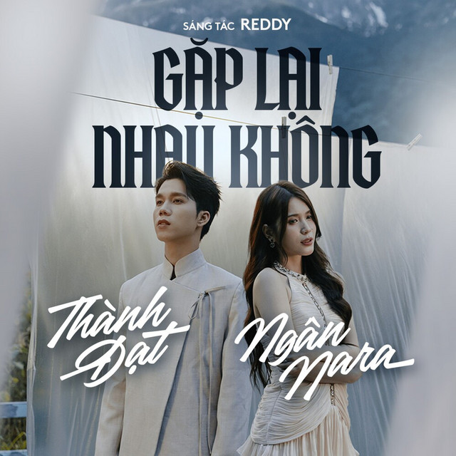 Gặp Lại Nhau Không