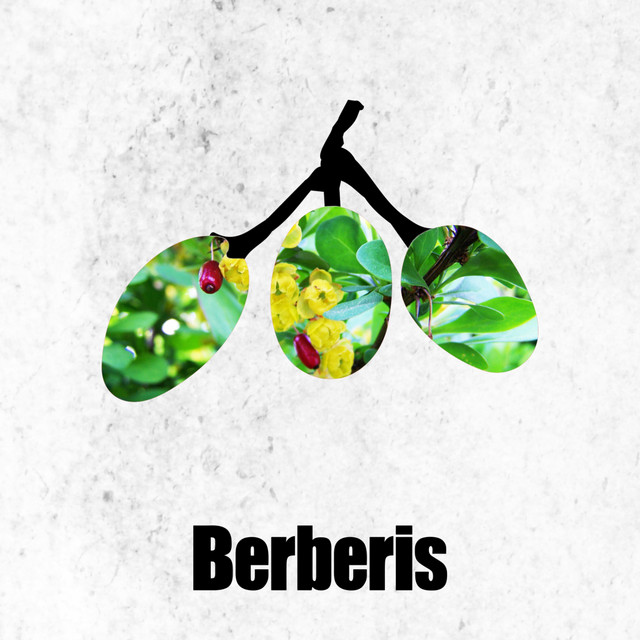 Shelter EP cover art
