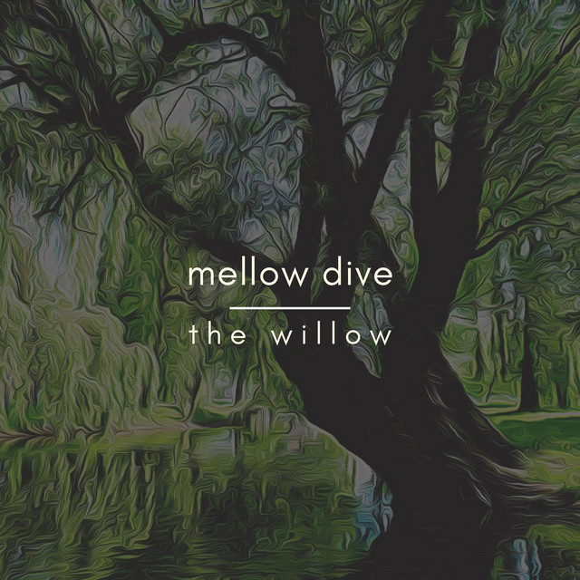 the willow cover art