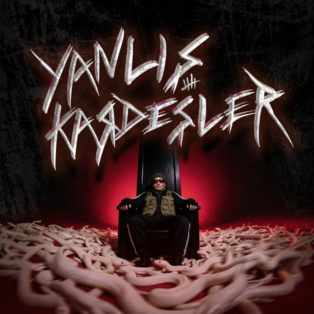 Yanlış Kardeşler cover