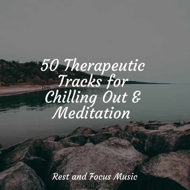 50 Therapeutic Tracks for Chilling Out & Meditation - Album by Academia ...