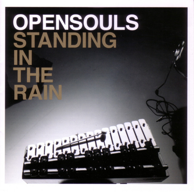 Standing in the Rain cover art