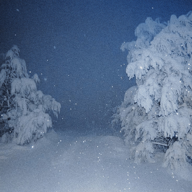 lost in the snow