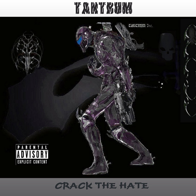 Crack The Hate cover art