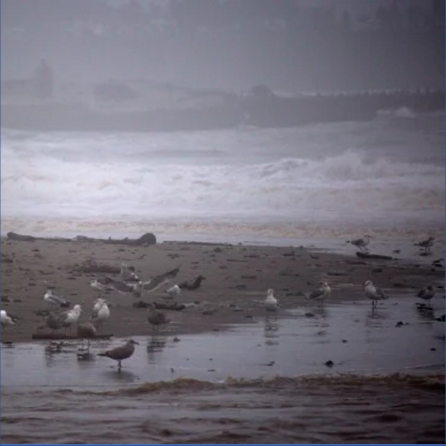 Stormy Day at the Beach cover art