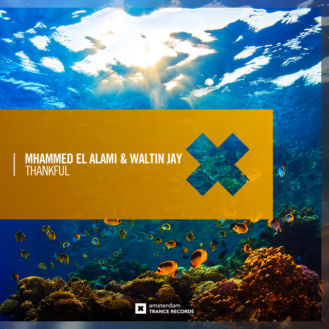 Thankful - Extended Mix album art