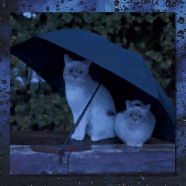 hydroplane cover art