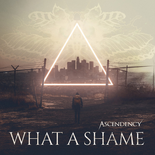 What A Shame cover art