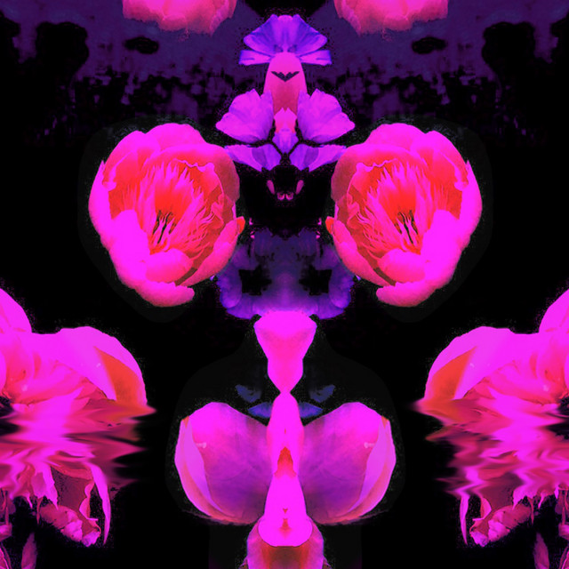 Deluca cover art