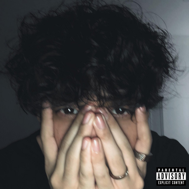 PDTMY cover art