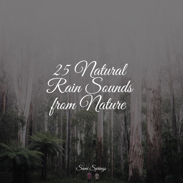 25 Natural Rain Sounds from Nature - Album by Sounds Of Nature | Spotify
