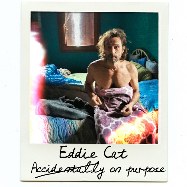 Accidentally on purpose cover art