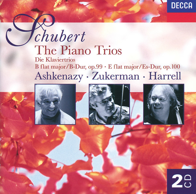 Piano Trio No.2 in E flat, Op.100 D.929: 2. Andante con moto