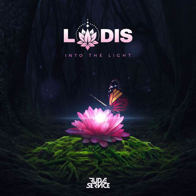Into The Light cover art