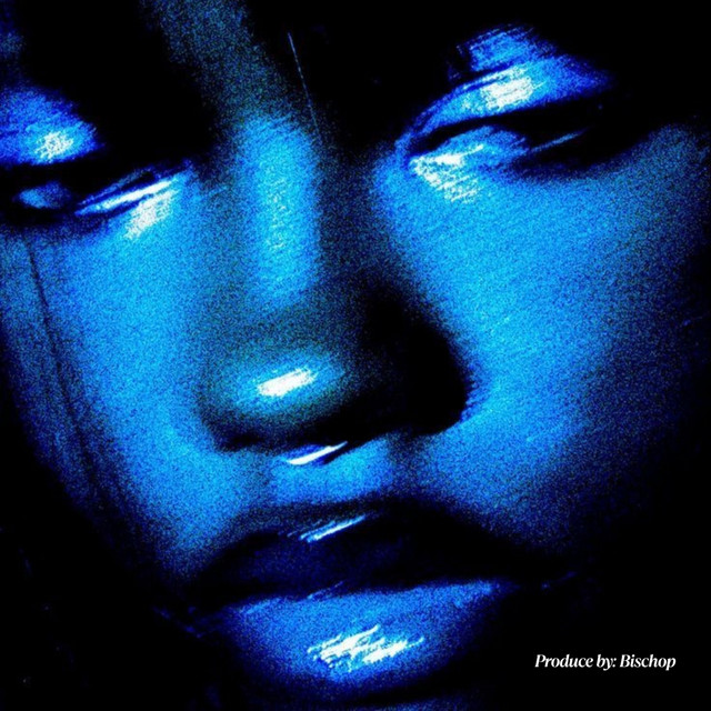 Pimmies Dilemma by Romy Cover cover art