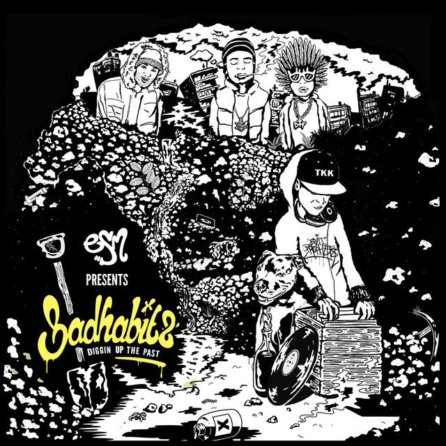 Diggin' Up The Past cover art