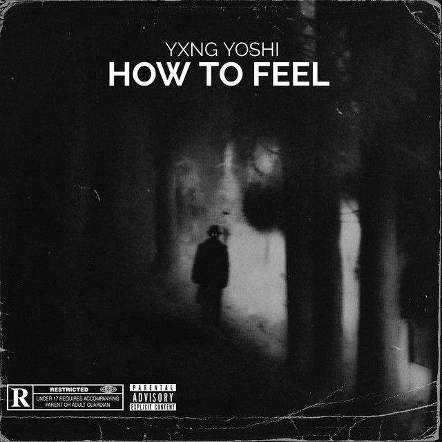 Обкладинка: How to Feel — Yxng Yoshi