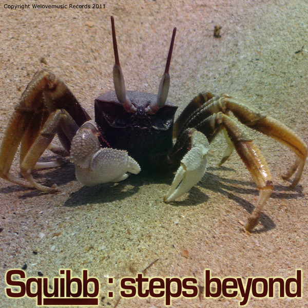 Steps Beyound cover