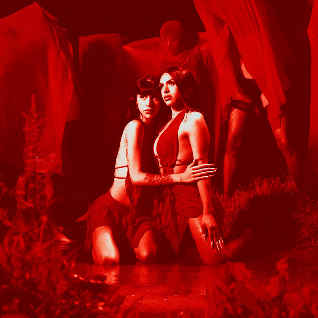 undefined album image