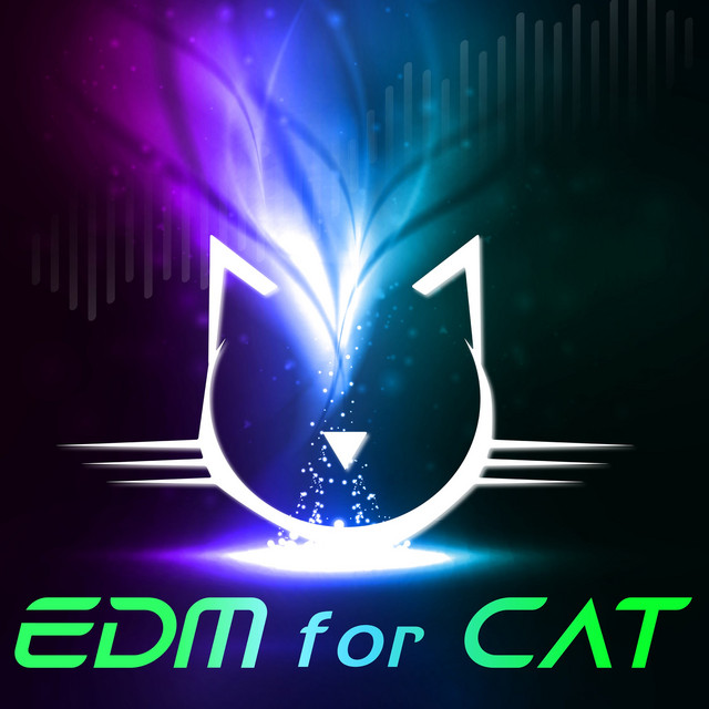 Edm for Cat cover art