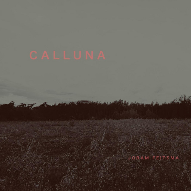 Calluna cover art