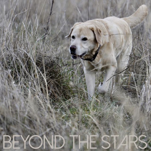 Beyond The Stars cover