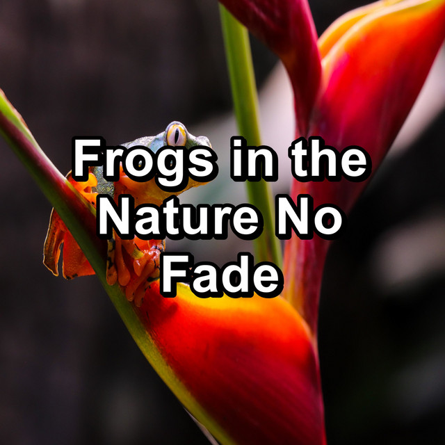 Frogs in the Nature No Fade cover art