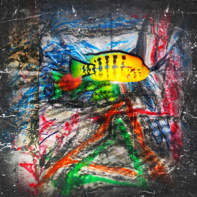 Plight Of The Sunfish
