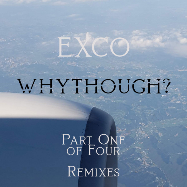 EXCO (Remixes) cover