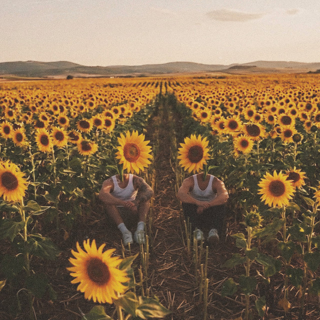 Girasoles Pt. 2
