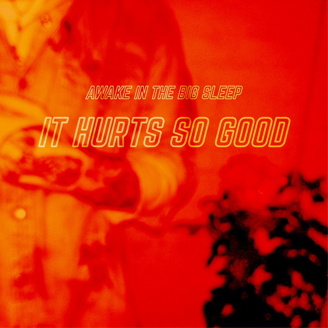 It Hurts So Good cover