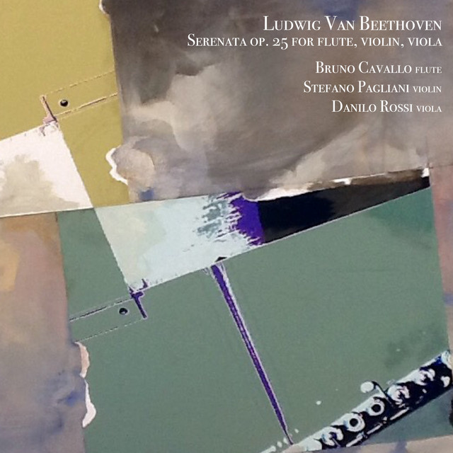 Serenata in D Major per flauto, violino, viola, Op. 25: VII. Allegro vivace e disinvolto - Presto cover art
