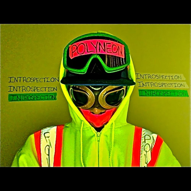 Introspection Three cover art