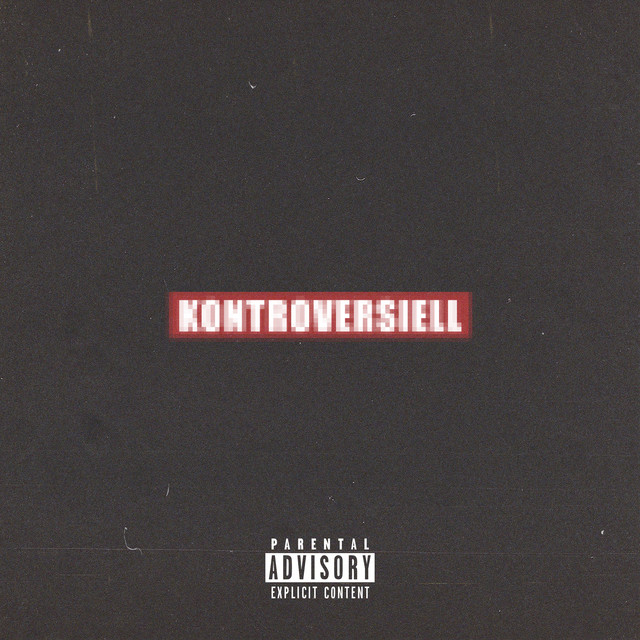 Kontroversiell (Intro)