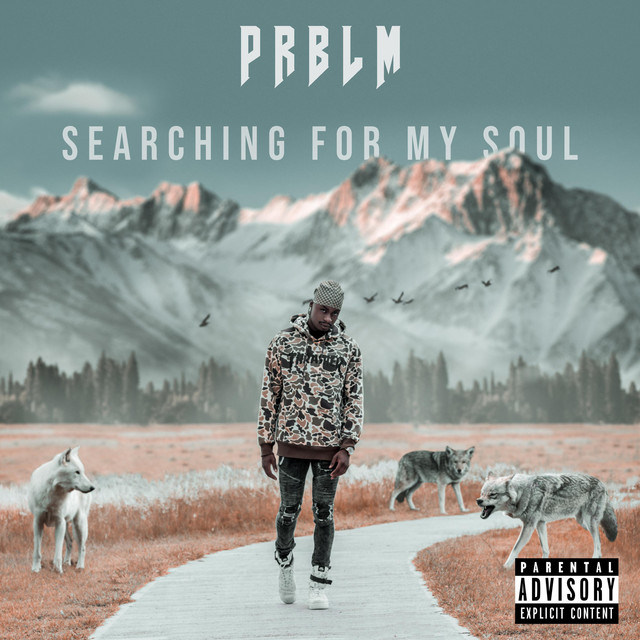 Searching for My Soul cover art