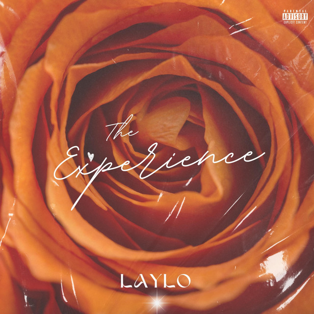 THE EXPERIENCE cover art