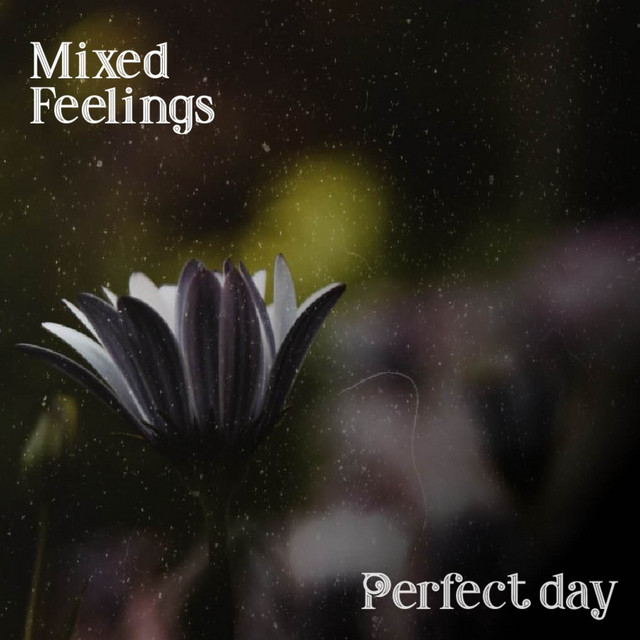 Perfect Day cover